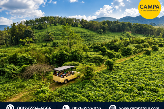Paket Wisata Barumun Nagari Wildlife Sanctuary - Campa Tour