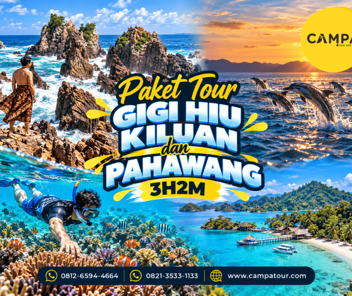 Paket Tour Wisata Gigi Hiu, Kiluan dan Pulau Pahawang 3 Hari 2 MalaM (3H2M) bersama Campa Tour