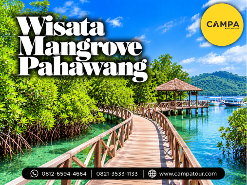 Paket Tour Wisata Mangrove Pahawang bersama Campa Tour