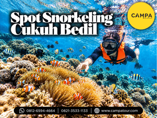 Paket Tour Wisata Spot Snorkeling Cukuh Bedil Pahawang bersama Campa Tour