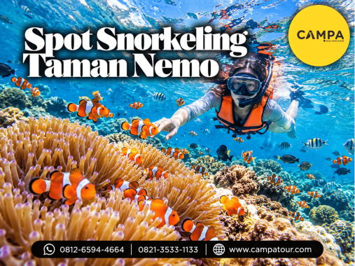 Paket Tour Wisata Spot Snorkeling Taman Nemo Pahawang bersama Campa Tour
