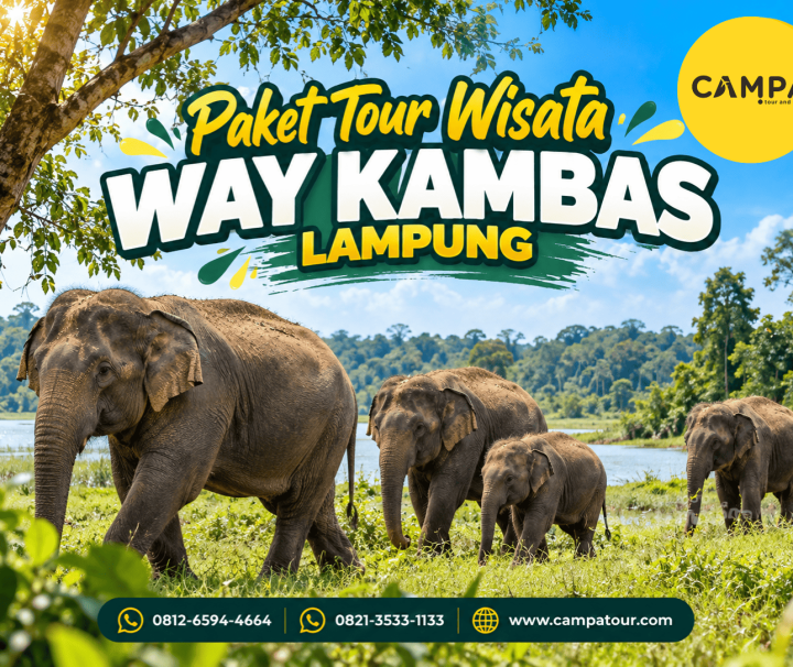 Paket Tour Wisata Way Kambas Lampung bersama Campa Tour