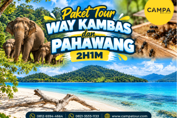 Paket Tour Wisata Way Kambas dan Pulau Pahawang 2 Hari 1 Malam (2H1M) bersama Campa Tour