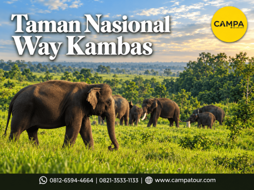 Paket Wisata Taman Nasional Way Kambas bersama Campa Tour