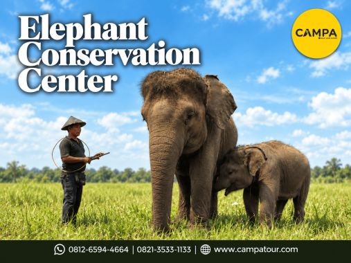 Paket Wisata ke Elephant Conservation Center Way Kambas bersama Campa Tour