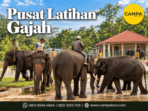 Paket Wisata ke Pusat Latihan Gajah bersama Campa Tour