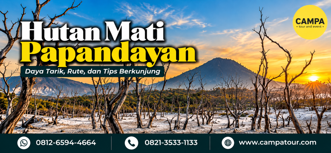 Hutan Mati Papandayan: Daya Tarik, Rute, dan Tips Berkunjung - Campa tour