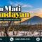 Hutan Mati Papandayan: Daya Tarik, Rute, dan Tips Berkunjung - Campa tour