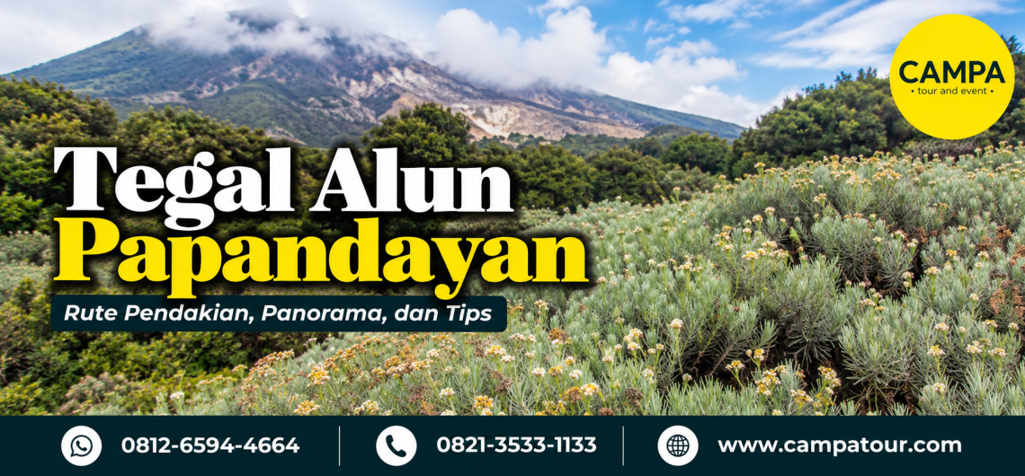 Tegal Alun Papandayan: Rute Pendakian, Panorama, dan Tips - Campa tour