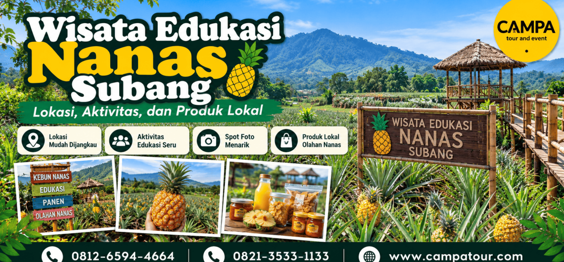 Wisata Edukasi Nanas Subang - Lokasi, aktivitas dan produk lokal khas subang bersama Campa Tour